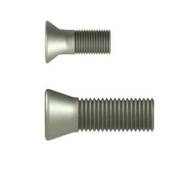M1,8*4,2*2,4 TORX VİDA ERİC