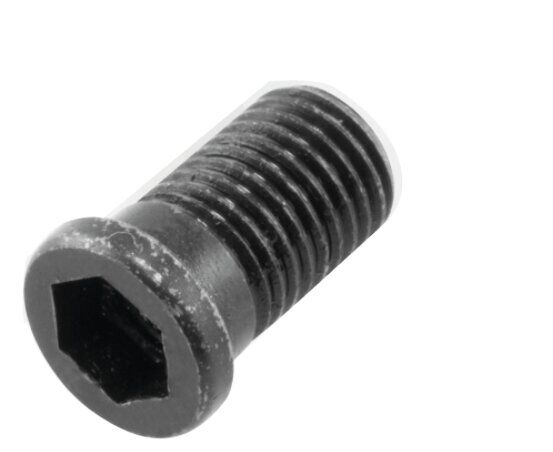 M5x0,5x3,5 BUKSE VİDA ERİC